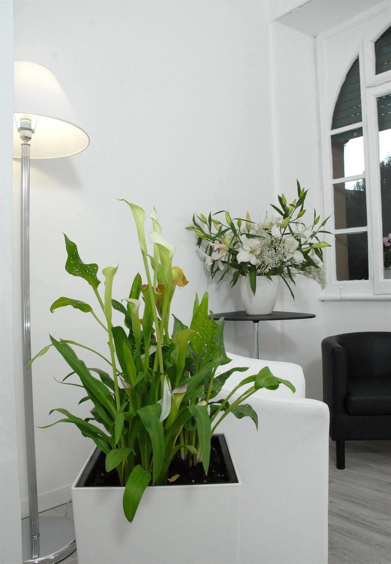 Gardenia Suite Рим Экстерьер фото